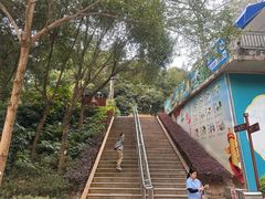 -广州市流溪河国家森林公园