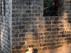 -宝通禅寺