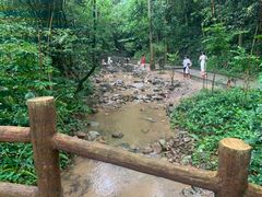 -火炉山森林公园