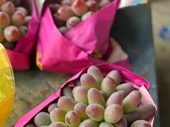 -马陆小张葡萄园农家乐