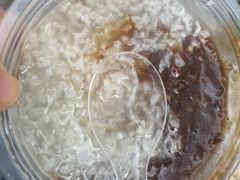 -潘玉麟糖粥