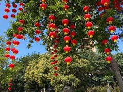 -晓港公园