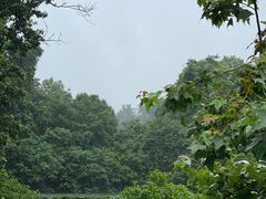 景观位-龙井壹号·茶缘山景宴(龙井村店)