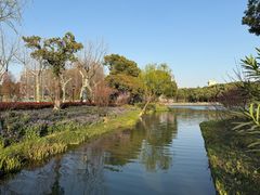 -圩墩遗址公园