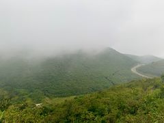-大围山国家森林公园