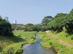 -麗枫酒店(深圳机场福永地铁站店)