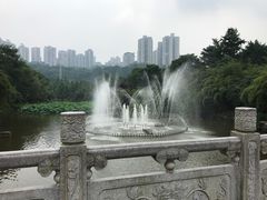 -龙头寺公园