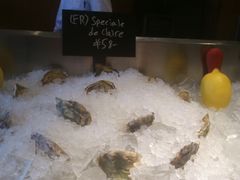 -Oyster Talks 四度蚝法餐厅