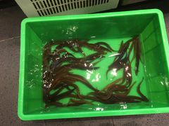 -滋味轩餐厅·贺胜桥土鸡汤(紫沙路店)