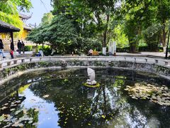 -红梅公园