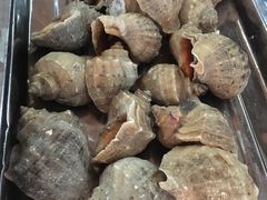 -胶东海鲜大排档(北太平庄店)