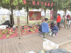 -前小桔亲子创意农场·草莓采摘·露营烧烤
