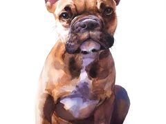 -八哥美术·成人美术画室(总校区)