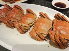 -王庄阿咪海鲜大排档(象园店)