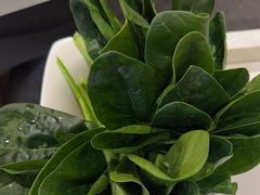 -牛焱·贵州黄牛肉火锅(城西银泰店)