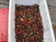 -塘径小院农家食府