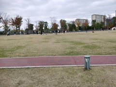 -九科绿洲