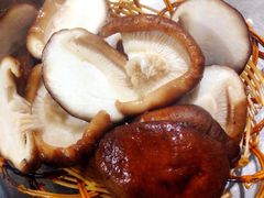 鲜香菇-姥家大锅台水库渔家