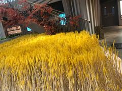 -武汉光谷K11