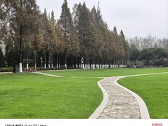 -合肥滨湖国家森林公园