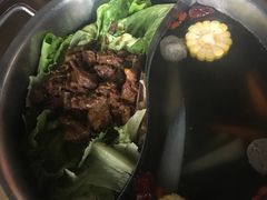 -手选潮汕鲜活牛肉火锅(二七广场店)