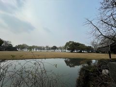 -闻莺馆(柳浪闻莺店)