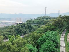 -金鸡山公园