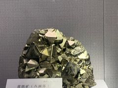 -湖南省地质博物馆