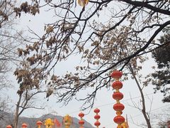 -红螺寺