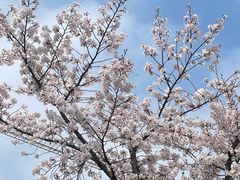 -龙美术馆(西岸馆)