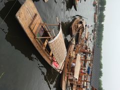 -白洋淀景区
