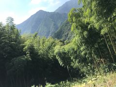 -江南天池