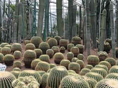 -南山植物园
