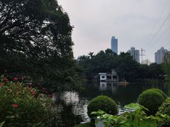 -晓港公园