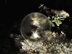 -维乐口腔医院(星海湾分院)