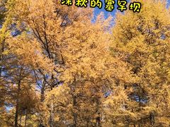 -塞罕坝国家级自然保护区