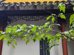 -寒山寺