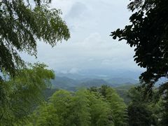 -莫干山风景区