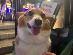 -猫员外精酿啤酒馆(国速荟店)
