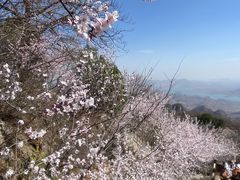 -狼牙山风景区