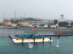 -秦皇岛乐岛海洋王国