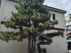 -琥珀川糟粕醋火锅(慈云寺店)