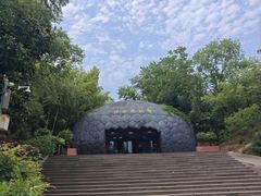 -中国西峡恐龙遗迹园