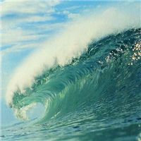 -薇兰专业脱毛连锁机构