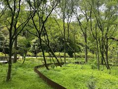 -西湖风景区-江洋畈生态公园