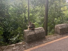 -黔灵山公园