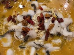 -蜀腾川·火锅鱼.烤鱼(新世界城店)
