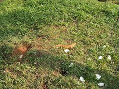 -海南热带野生动植物园
