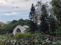 -映月湖公园