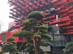 -WFC会仙楼观景台